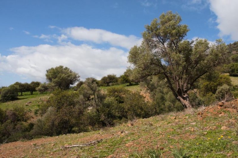 Klima Kreta, Klima Exklusives Villen-Ensemble Höhlenhaus (Projekt) mit atemberaubendem Panoramablick Haus kaufen